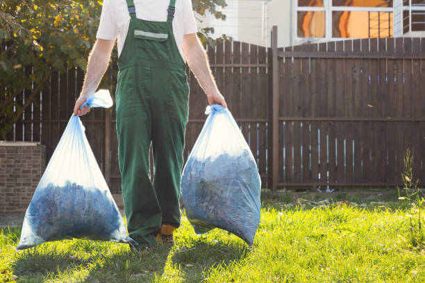 Debris Removal in Washburn, WI